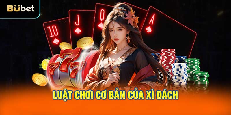 Luật chơi cơ bản của xì dách