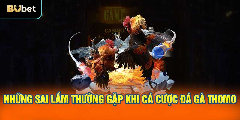 Những sai lầm thường gặp khi cá cược đá gà Thomo