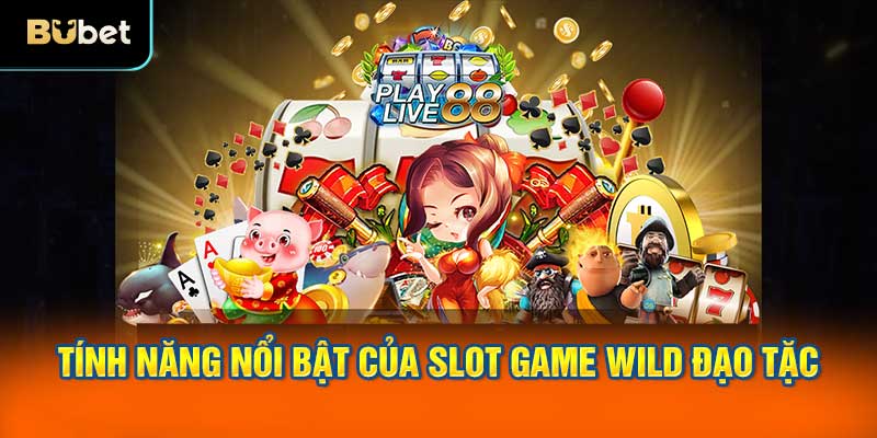 Những tính năng nổi bật của slot game Wild đạo tặc